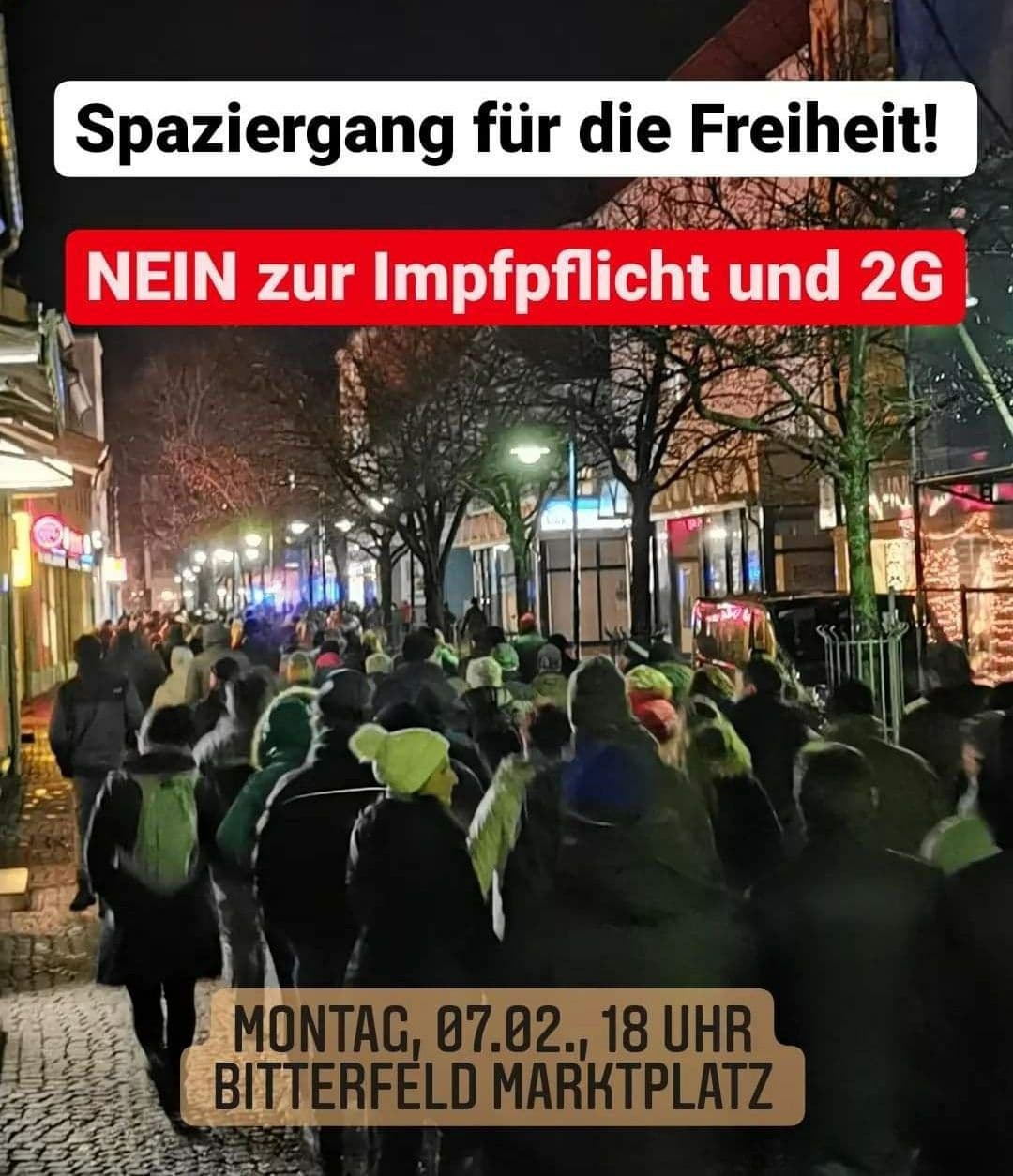 Montagsspaziergang mit der AfD