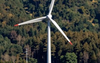 KeineWindkaftanlagenimWald