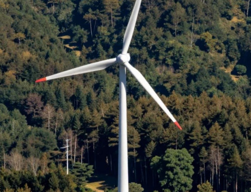 KEINE WINDRÄDER IM WALD – NEIN zu Windkraftanlagen im Naturpark Dübener Heide!